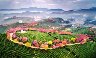 北京出发自驾福建南京9日游：永福樱花-南靖土楼-福建霞浦-厦门鼓浪屿-原始海上渔村风光-南京夫子庙-推荐