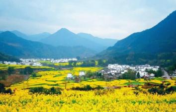 北京出发安徽8日自驾游：西海-瑶里古镇-石城-婺源油菜花8日自驾游-游推荐