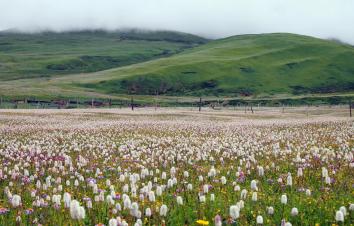 成都出发川藏线包车游：川藏318-泸定桥-姊妹湖-天路72拐-然乌湖-拉萨9日游-游推荐