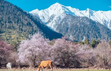 马德里集结西班牙葡萄牙16天落地自驾：马德里-托莱多-昆卡-巴塞罗那-里斯本-塞维利亚16天自驾-游推荐