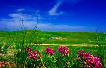 山东出发内蒙乌拉盖草原6日自驾游：野狼谷-布林泉-九曲湾-玉龙沙湖-北戴河6日草原自驾游-游推荐