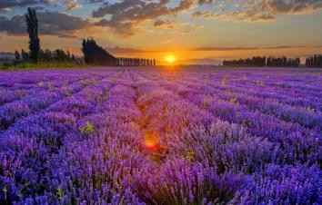 乌鲁木齐起止伊犁8日落地自驾：S101公路-独库公路-伊昭公路-赛里木湖-喀拉峻大草原8日游-游推荐