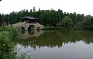 北京出发山东5日自驾游：李中水上森林-丹顶鹤湿地-竹泉村5日自驾游-游推荐