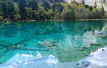 成都出发九寨4日自驾：九寨沟-甘海子-黄龙瑶池-松州古城4日自驾-游推荐