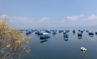 重庆出发云南7日自驾游：普者黑荷塘月色-抚仙湖高原明珠-芳华拍摄地蒙自7日自驾-推荐