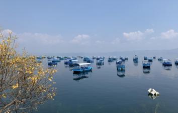 重庆出发云南7日自驾游：普者黑荷塘月色-抚仙湖高原明珠-芳华拍摄地蒙自7日自驾-游推荐