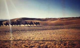 北京出发宁夏8日自驾游：成吉思汗故里-水洞沟-西部影视城-沙坡头8日自驾游-推荐