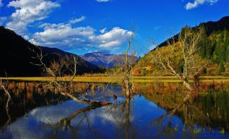 全国出发甘南九寨自驾9日：拉卜楞寺-郎木寺-扎尕那-桑科草原-九寨沟9日川北甘南自驾游-推荐
