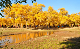 重庆出发前往额济纳旗胡杨林，巴丹吉林沙漠经典环线8日自驾-推荐