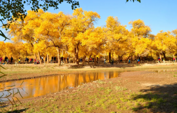 重庆出发前往额济纳旗胡杨林，巴丹吉林沙漠经典环线8日自驾-游推荐