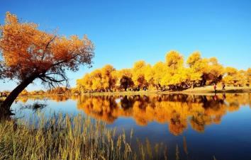 山东出发2020额济纳胡杨林7日国庆自驾游：额济纳黑水城-怪树林-巴丹吉林-张掖丹霞-沙坡头7日游-游推荐