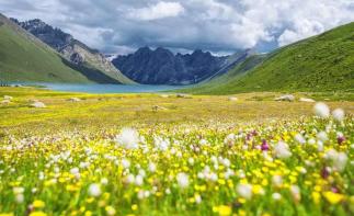 重庆出发川北甘南6日自驾游：【川甘青小环线】扎尕那-莲宝叶则-阿万仓湿地-红原6日自驾游-推荐