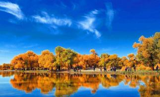 重庆出发内蒙阿拉善8日自驾游：【大漠胡杨】额济纳胡杨林-腾格里沙漠-阿拉善梦想公园8日自驾-推荐