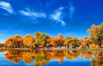 重庆出发内蒙阿拉善8日自驾游：【大漠胡杨】额济纳胡杨林-腾格里沙漠-阿拉善梦想公园8日自驾-游推荐