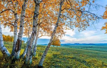 山东出发自驾内蒙最美秋色自驾公路6日游：热阿线-黄岗梁-阿斯哈图石林-塞罕坝-乌兰布通草原6日自驾游-游推荐