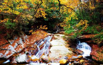 成都周边2.5日休闲自驾游：醉美金秋-光雾山桃园-十八月谭2.5日自驾之旅-游推荐