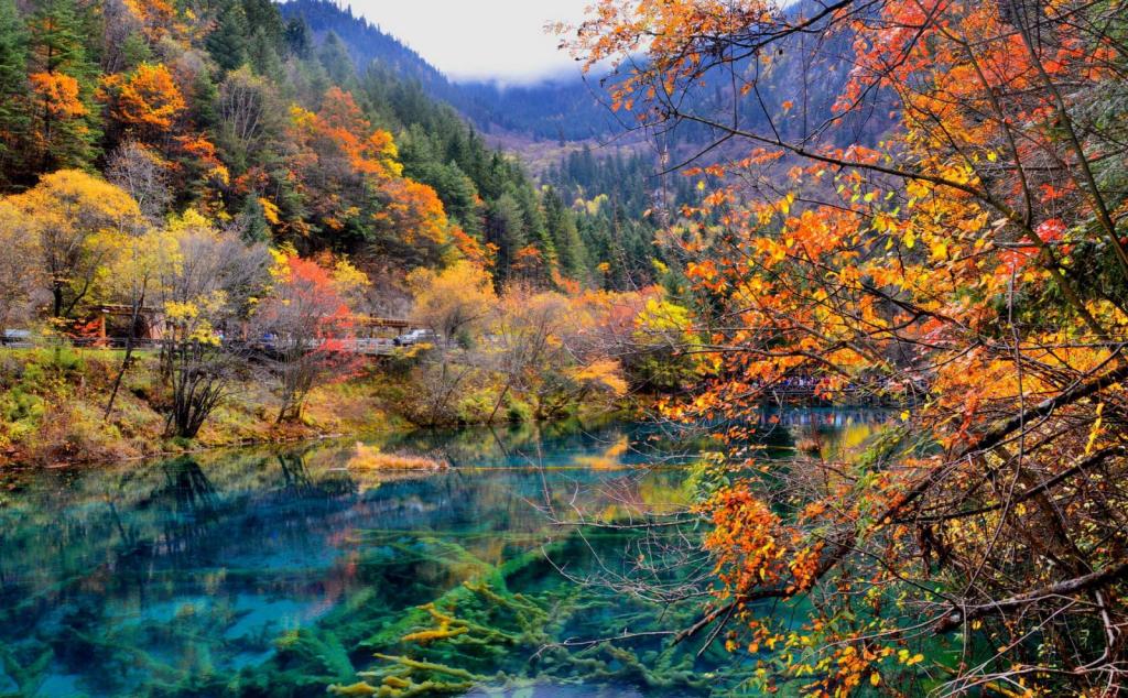 成都出发川西7日落地自驾：九寨沟-黄龙-达古冰川-羊绒哈德-毕棚沟-古尔沟7日自驾游