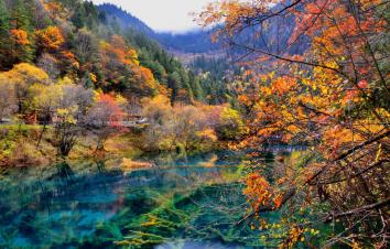 成都出发川西7日落地自驾：九寨沟-黄龙-达古冰川-羊绒哈德-毕棚沟-古尔沟7日自驾游-游推荐