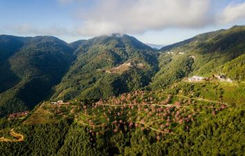 昆明集合云南8日落地自驾：无量樱花-腾冲银杏-诺邓古村-南涧土林8日自驾-游推荐