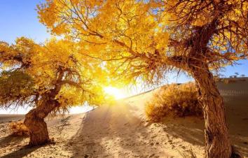 乌鲁木齐集合新疆南疆7日自驾游：库尔勒-温宿-和田-喀什-帕米尔高原-塔县7日自驾游-游推荐