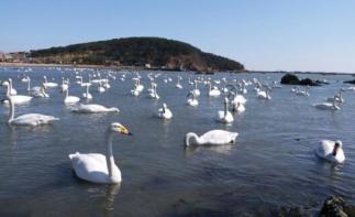 北京出发山东4日自驾游：烟墩角-那香海国际旅游度假区-青州古城4日自驾游-推荐