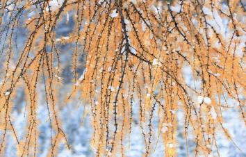 成都出发理县2日自驾：毕棚沟-甘堡藏寨-古尔沟温泉2日自驾-游推荐