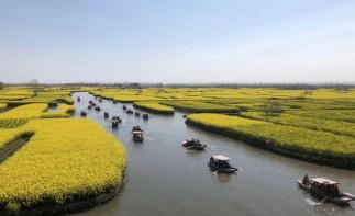 北京出发江苏5日自驾游：李中水上森林公园-千垛景区-扬州-台儿庄5日自驾游-推荐