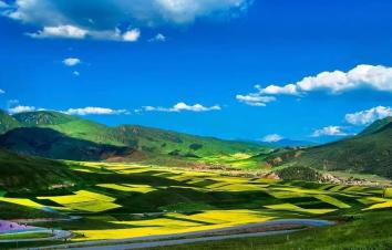 西宁集结青之海6日游：门源油菜花海-七彩丹霞-祁连大草原-冰沟林海-茶卡盐湖-青海湖-塔尔寺大西北6-游推荐