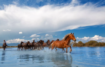 北疆伊犁全景12日落地自驾游：可可托海-喀纳斯-禾木-赛里木湖-喀拉峻大草原 -伊昭公路-夏塔古道--游推荐