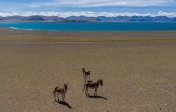 拉萨出发11日行摄自驾：喜马拉雅以南｜越野｜洛扎｜亚东｜岗巴｜珠峰｜吉隆沟｜拉萨集结11日落地自驾-游推荐