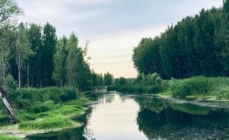 北京周边2日自驾游：白洋淀-胜芳古镇-采摘庞各庄西瓜河北2日自驾游-推荐