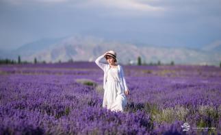 乌鲁木齐出发新疆落地包车深度旅拍8日游：巴音布鲁克-那拉提-霍城薰衣草-独库公路8日包车游-推荐