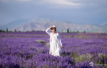 乌鲁木齐出发新疆落地包车深度旅拍8日游：巴音布鲁克-那拉提-霍城薰衣草-独库公路8日包车游-游推荐