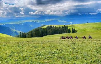 全国出发新疆25日自驾游：喀伊连线+天山天池+喀纳斯+禾木+赛里木湖+薰衣草+喀拉峻+巴音布鲁克+那-游推荐