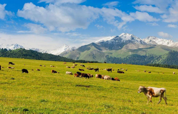 【世界级的东疆7日游】拒绝千篇一律，就要与众不同-游推荐