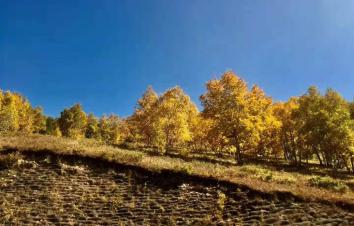 北京出发内蒙5日自驾游：热阿线-达达线-翁跟毛都-西拉木沦大峡谷5日自驾游-游推荐