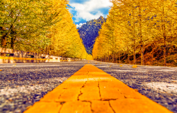 重庆出发甘南青海7日自驾游：【祁连之秋】甘南-青海祁连山冷龙岭秋色长廊7日自驾游-游推荐