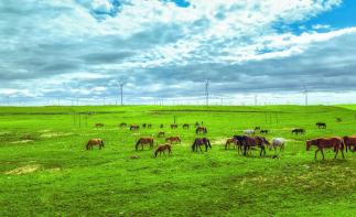 北京出发内蒙山西5日自驾游：纵情美丽辉腾锡勒大草原，探访红色星球5日自驾之旅-推荐