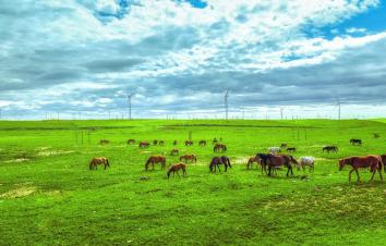 北京出发内蒙山西5日自驾游：纵情美丽辉腾锡勒大草原，探访红色星球5日自驾之旅-游推荐