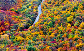 北京出发辽宁赏秋4日自驾游：游山玩水逛葫芦古镇-中秋赏月观最美秋色4日自驾之旅-推荐