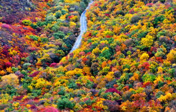 北京出发辽宁赏秋4日自驾游：游山玩水逛葫芦古镇-中秋赏月观最美秋色4日自驾之旅-游推荐