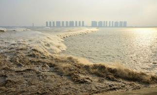 北京出发安徽浙江8日自驾下江南：观钱塘江大潮，畅游江南水乡8日自驾之旅-推荐
