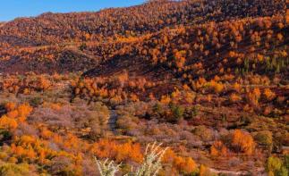 北京出发内蒙赤峰5日自驾游：猎艳西拉木伦金色世界，移步换景多彩风景大道5日自驾之旅-推荐