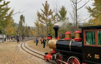 上海周边赏秋2日自驾游：安徽绩溪赏十里银杏长廊-邂逅皖浙天路的醉美秋色2日自驾游-游推荐