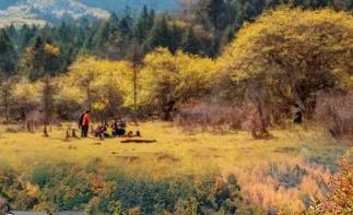 【白马王朗】川北绵阳3日自驾游：彩林长廊•白马王朗•白马古寨•天母湖•药丛山观景台3日自驾-推荐