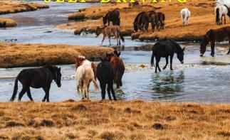 【稻城亚丁】康定-天路十八弯-理塘-稻城香格里拉之魂稻城亚丁6日自驾-推荐