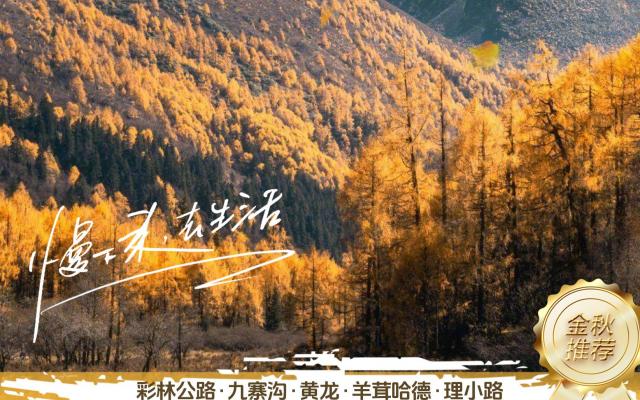 【童话阿坝】川西80里彩林公路-九寨沟-黄龙-羊茸哈德-理小路-四姑娘山四川阿坝州6日自驾游