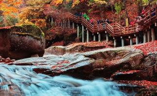 【光雾山】光雾山米仓山3日自驾游-推荐