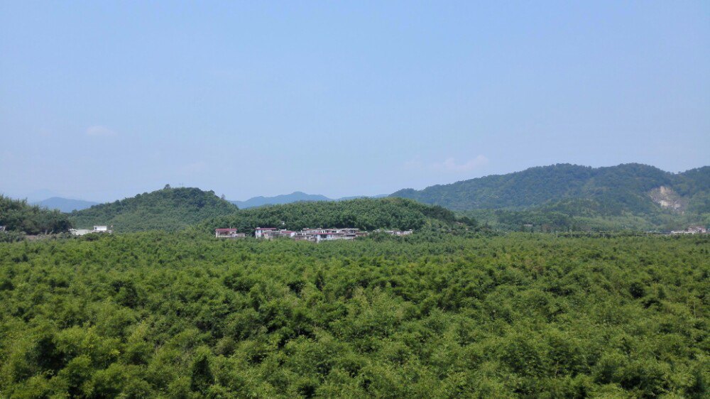 深圳周边自驾路线-肇庆广宁竹海-图1