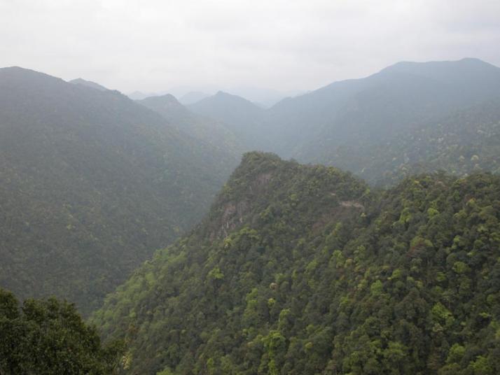 安远三百山国家森林公园好玩吗